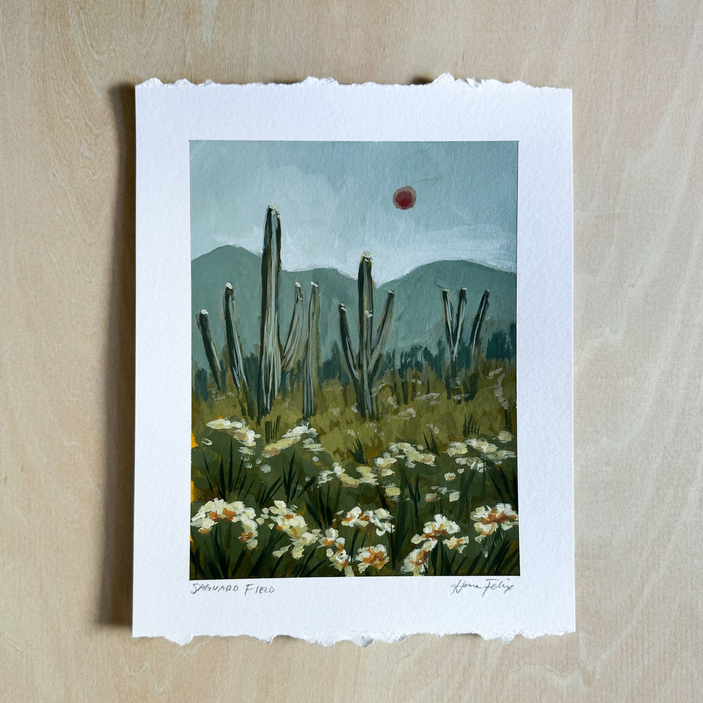 Saguaro Field