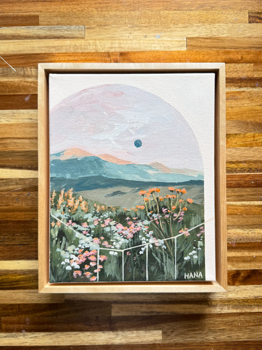 Wildflowers