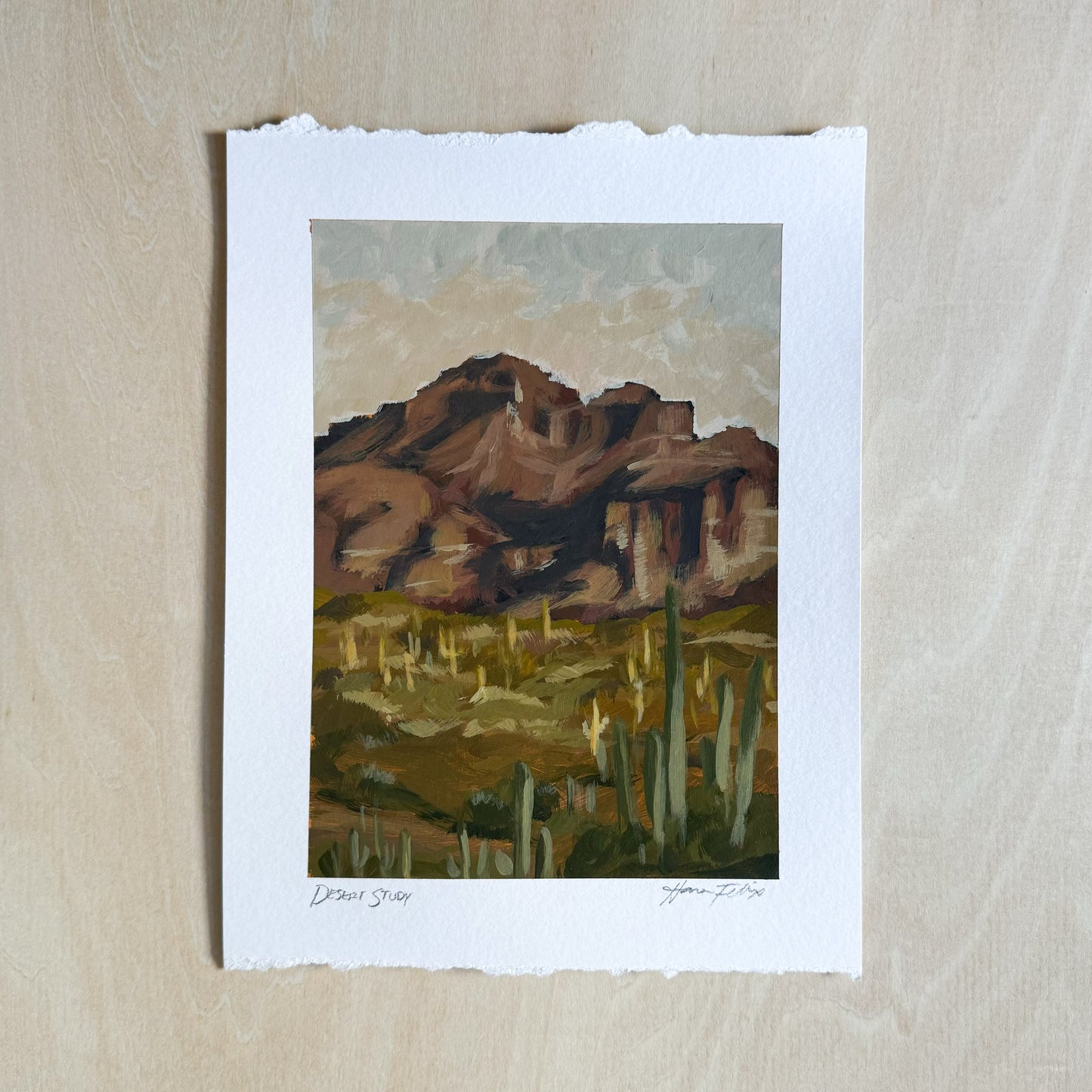 Desert Study