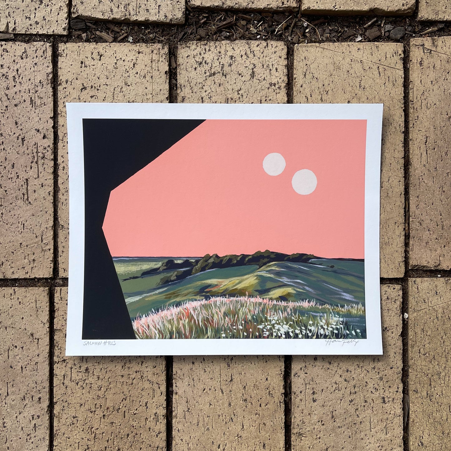 Salmon Hills Archival Print