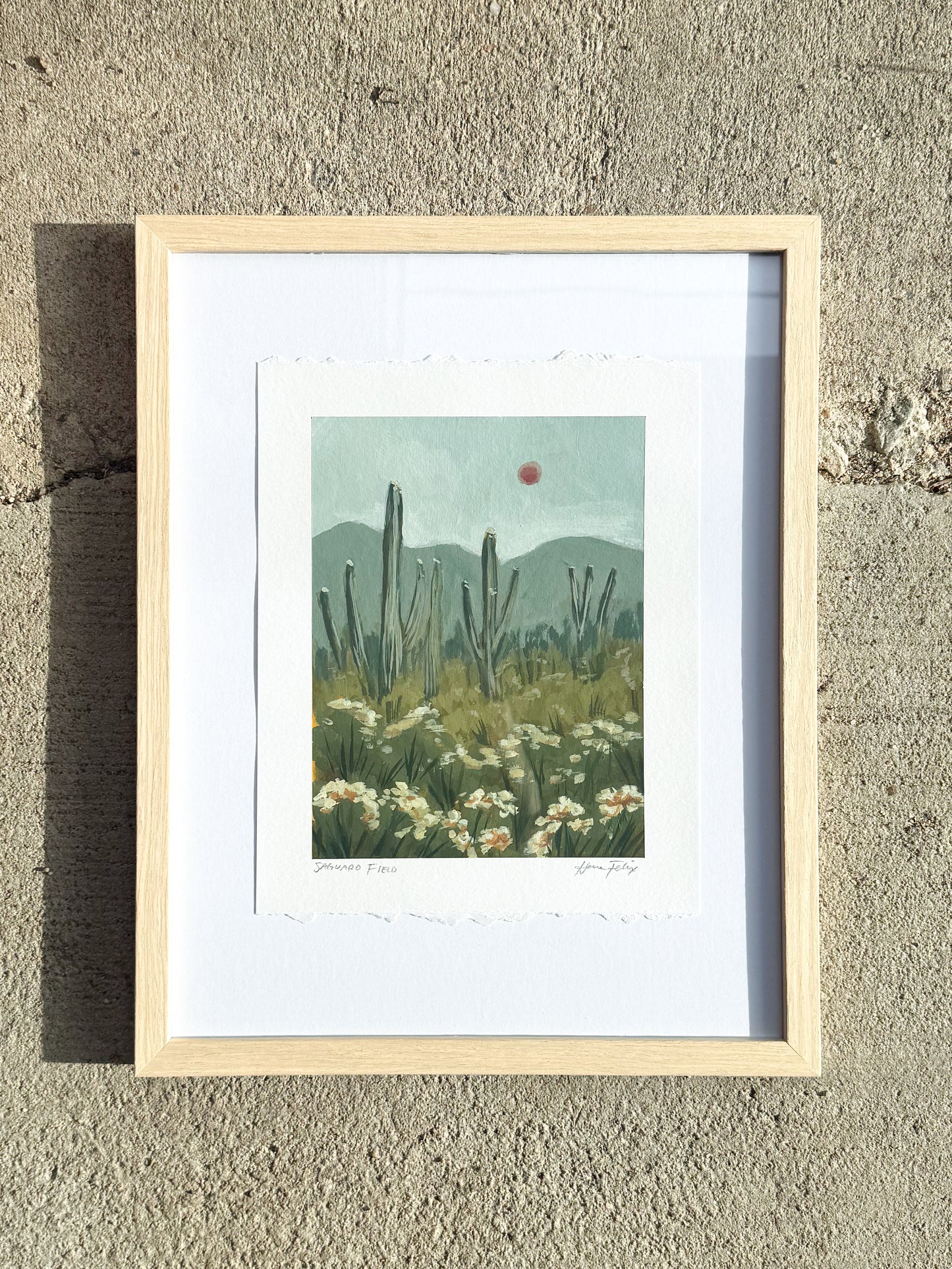 Saguaro Field