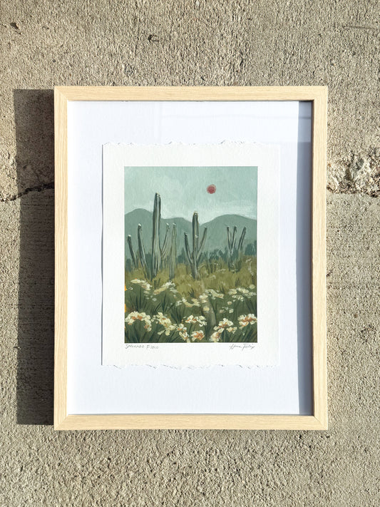 Saguaro Field